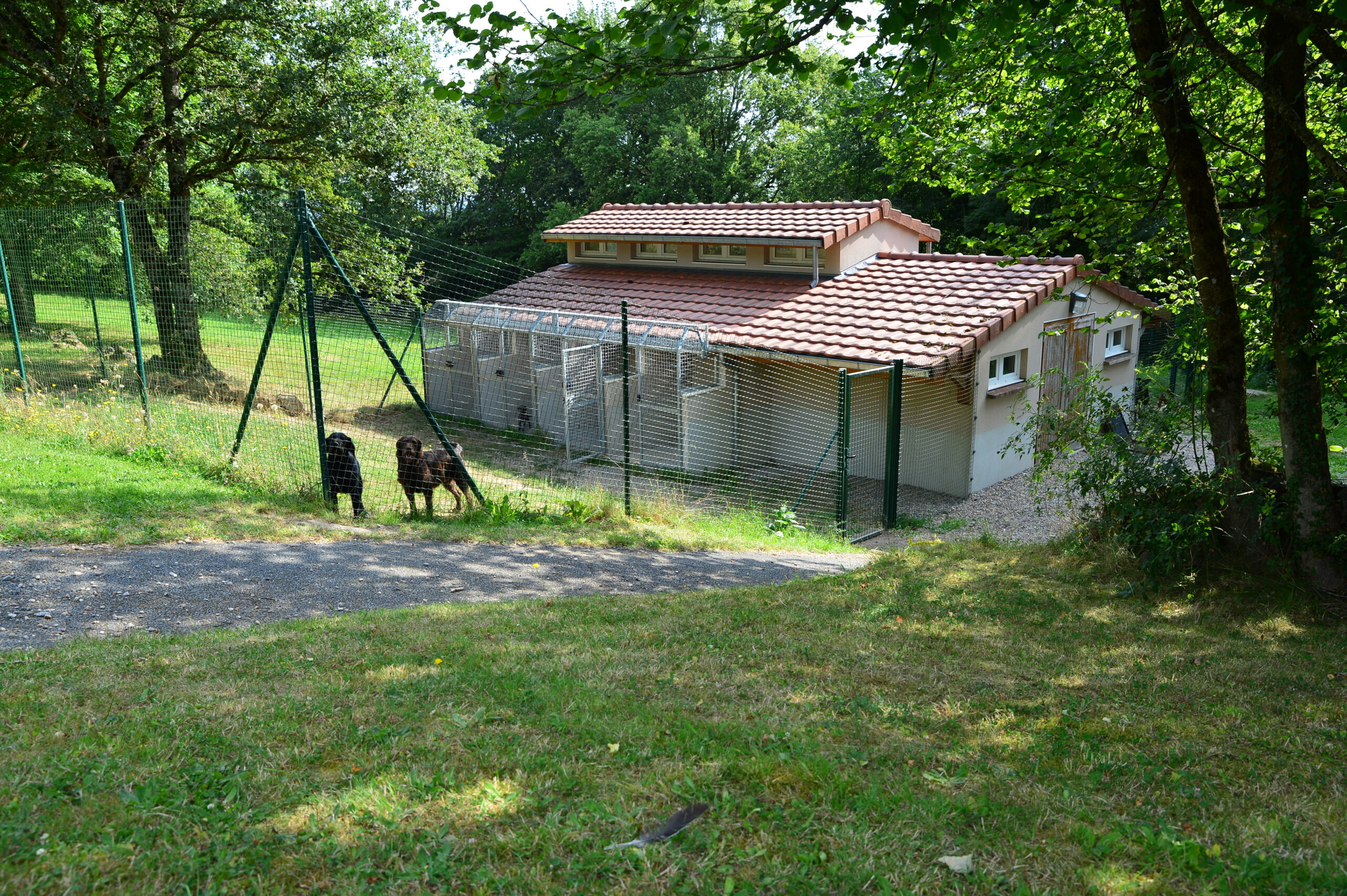 Fourrière